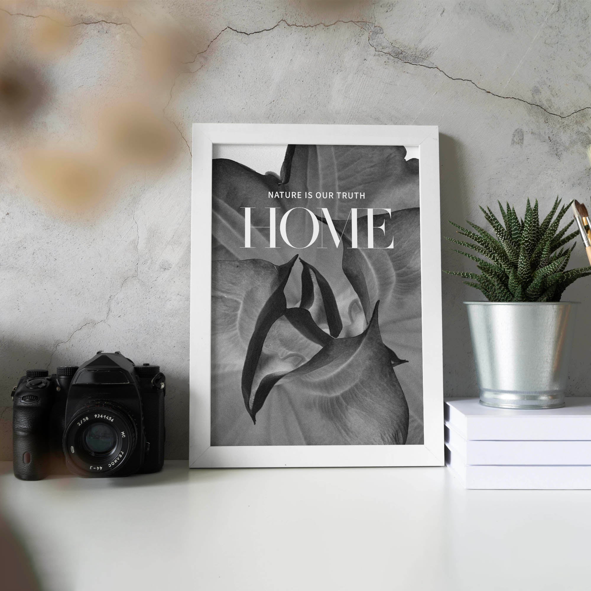 Nature is Our Truth Home