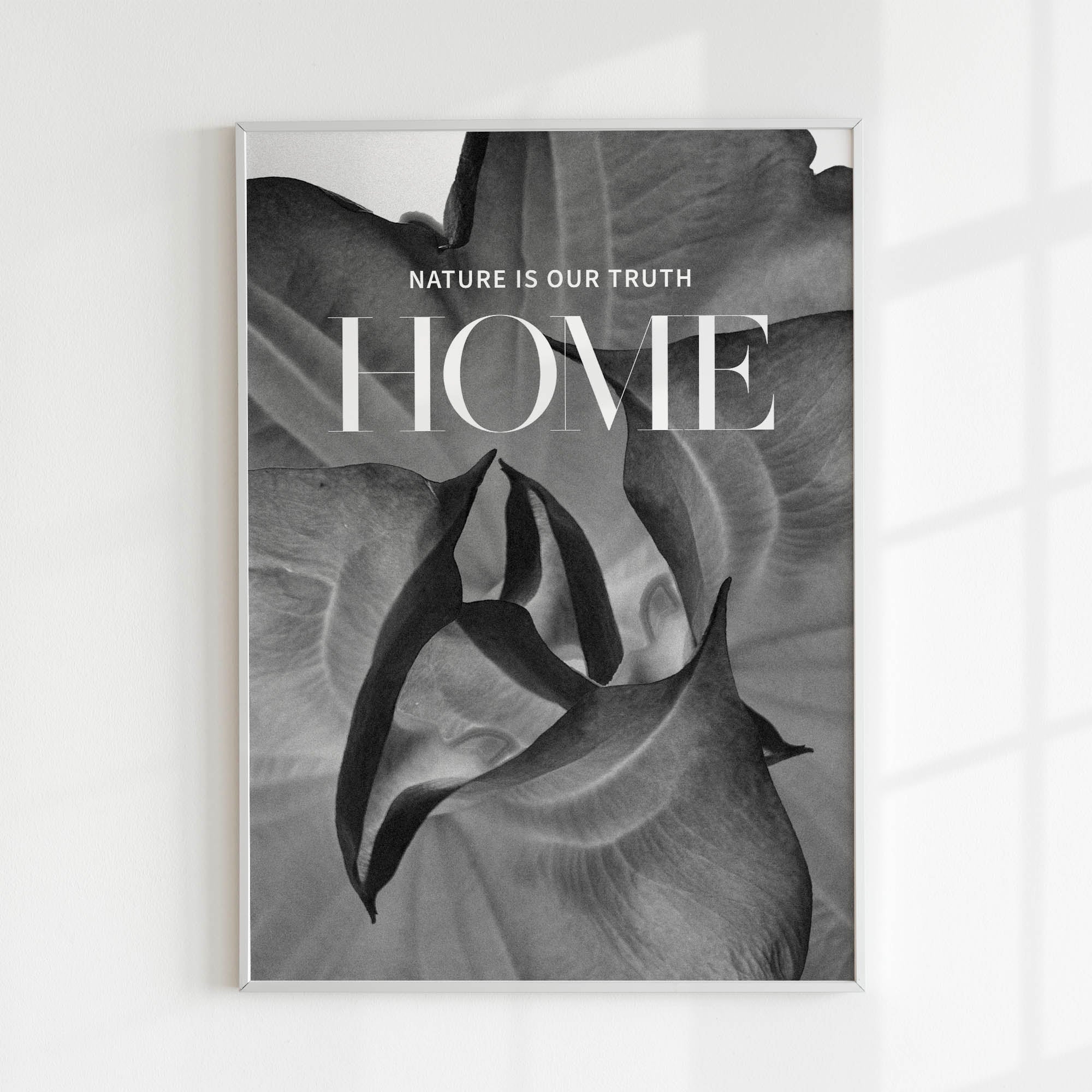 Nature is Our Truth Home