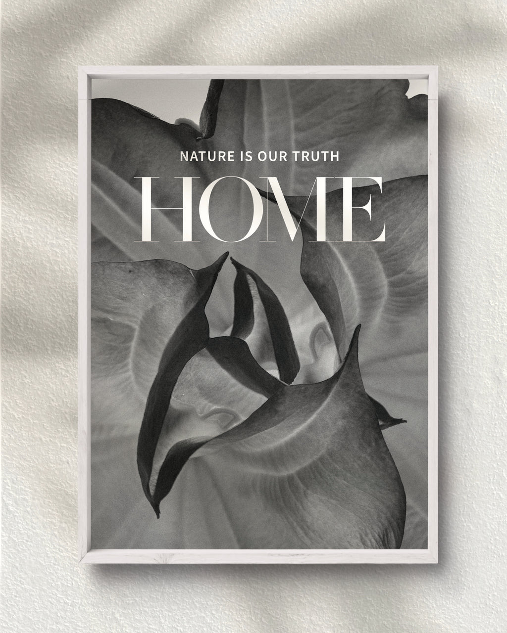 Nature is Our Truth Home
