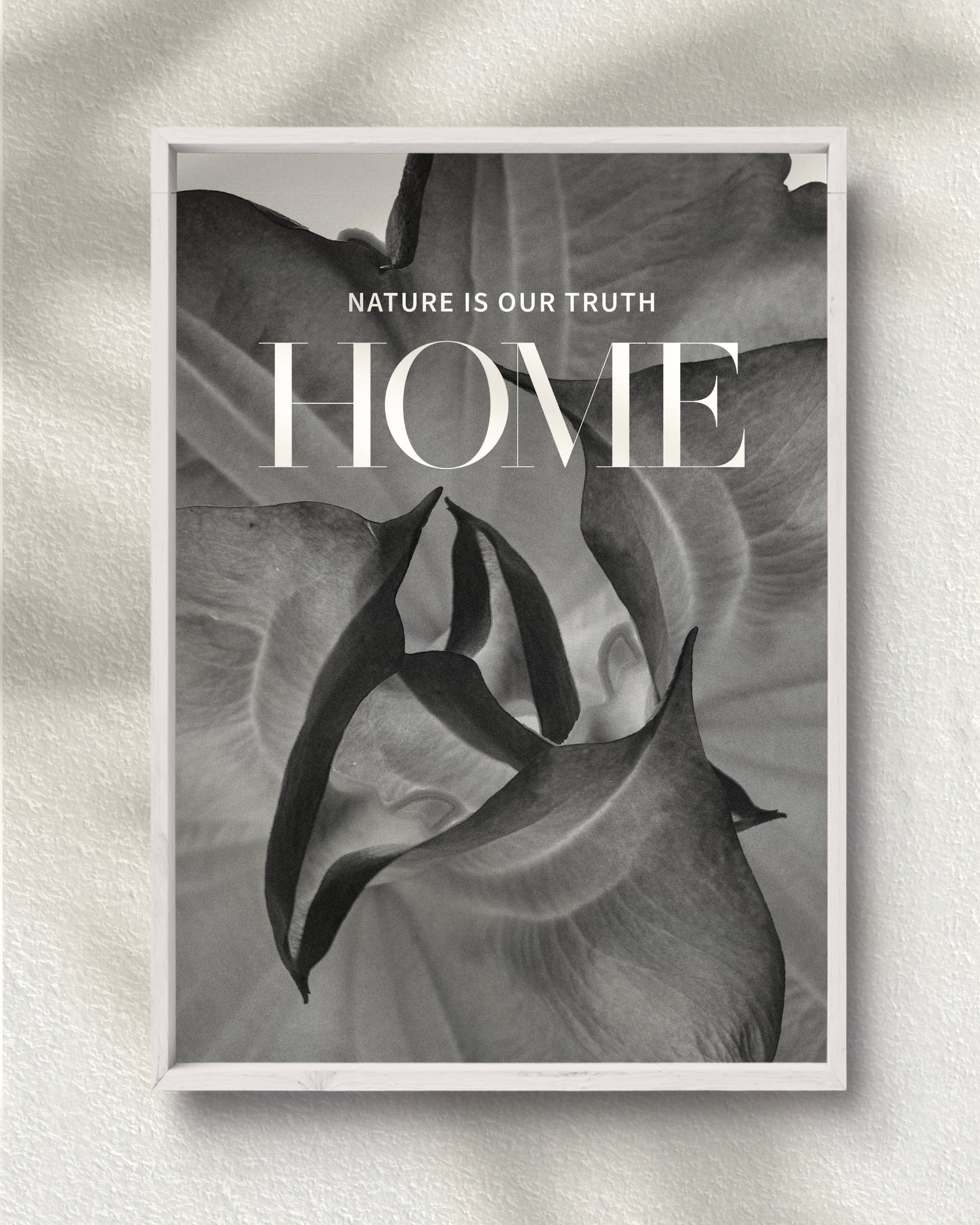 Nature is Our Truth Home
